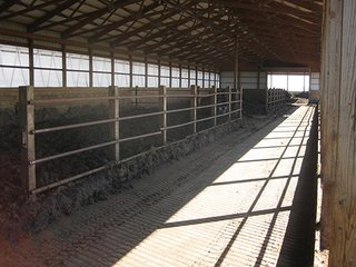 Property photo 14 - 116 +/- Acres Offered in 4 Tracts - Land & Cattle Facility Auction